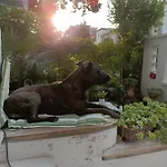 Mavipagi * Verona