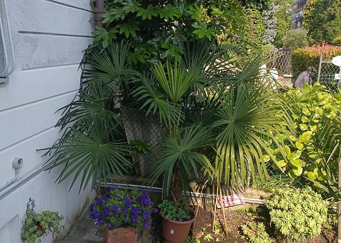 Mavipagi Bed & Breakfast