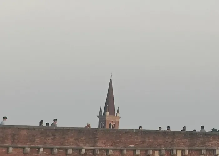 Mavipagi * Verona