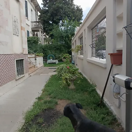 Mavipagi Верона