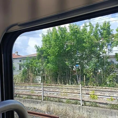 Mavipagi